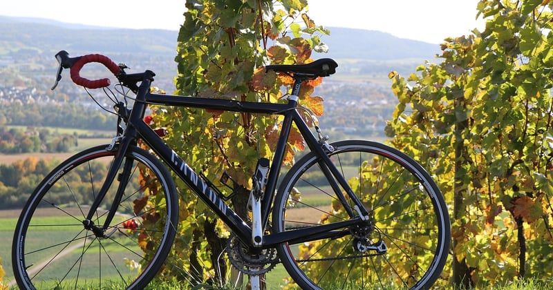 Pédalez de vignoble en vignoble : l'itinéraire vélo incontournable