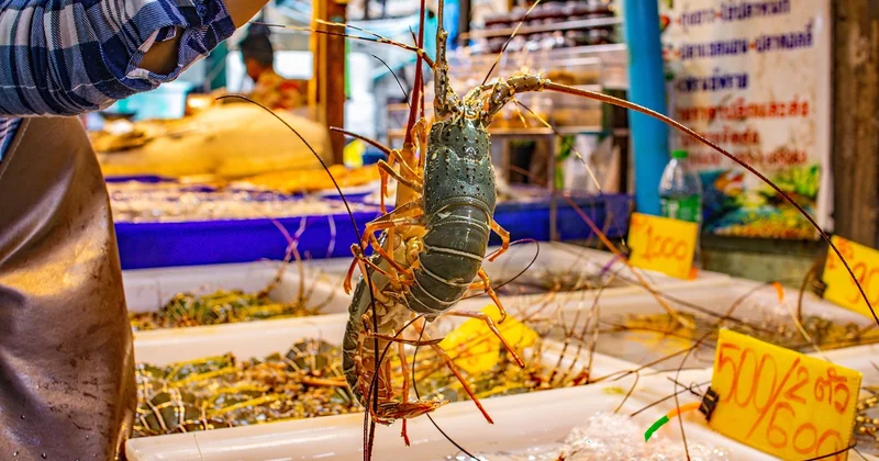 Comprendre comment fonctionne vraiment un marché nocturne thaïlandais