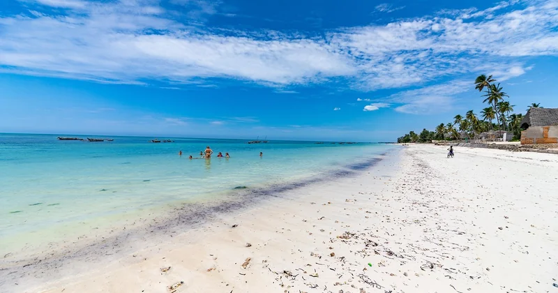 Zanzibar : l'option raisonnable qui ne sacrifie pas tout