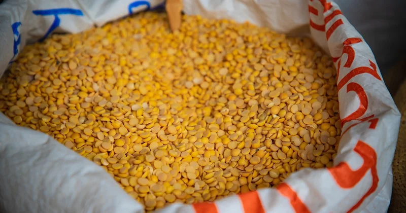 Les aliments qui se conservent vraiment sans frigo